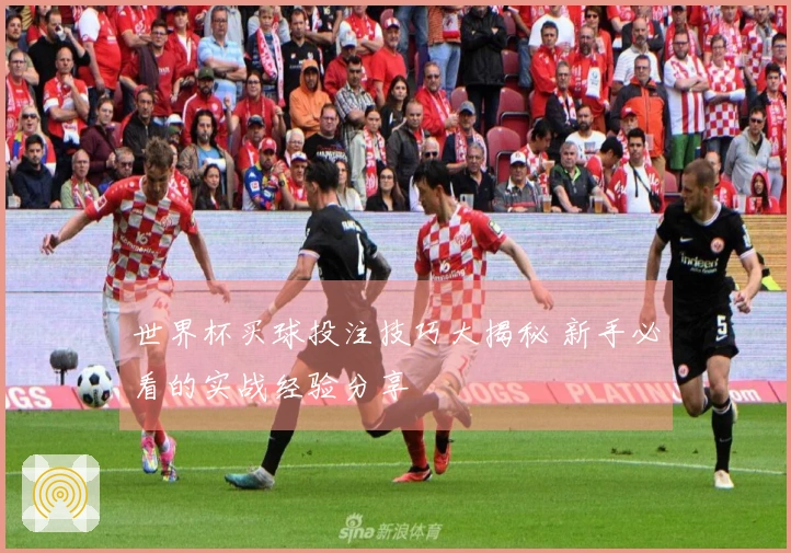 世界杯买球投注技巧大揭秘 新手必看的实战经验分享