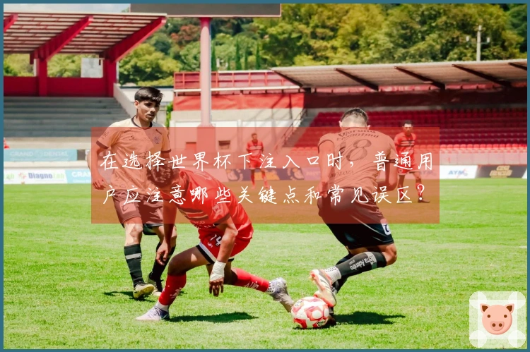 在选择世界杯下注入口时，普通用户应注意哪些关键点和常见误区？