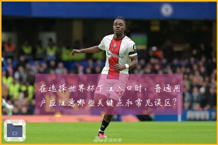 在选择世界杯下注入口时，普通用户应注意哪些关键点和常见误区？