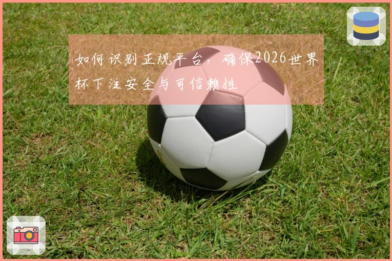 如何识别正规平台，确保2026世界杯下注安全与可信赖性