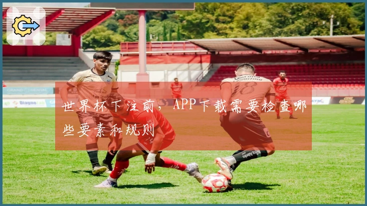 世界杯下注前，APP下载需要检查哪些要素和规则