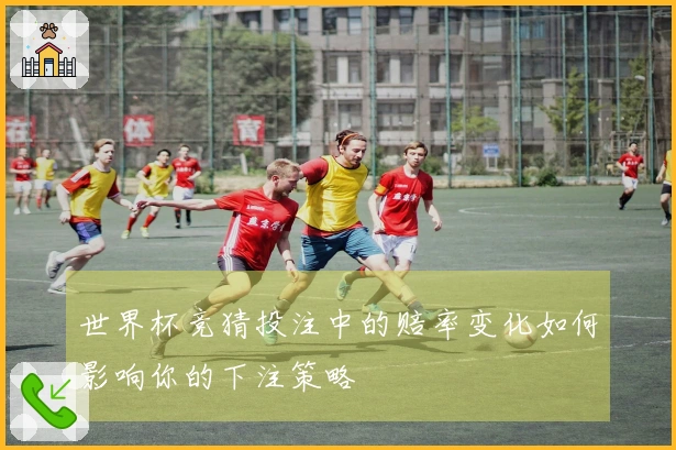 世界杯竞猜投注中的赔率变化如何影响你的下注策略