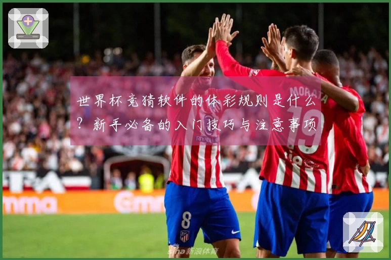世界杯竞猜软件的体彩规则是什么？新手必备的入门技巧与注意事项
