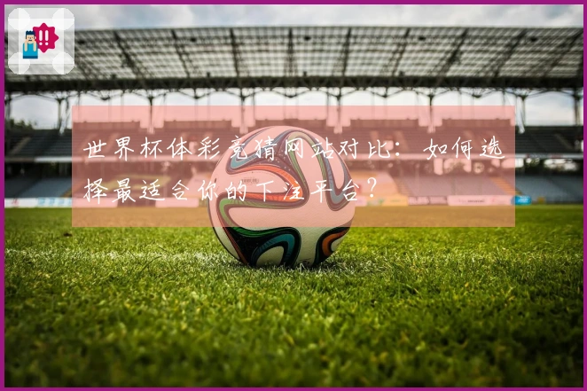 世界杯体彩竞猜网站对比：如何选择最适合你的下注平台？