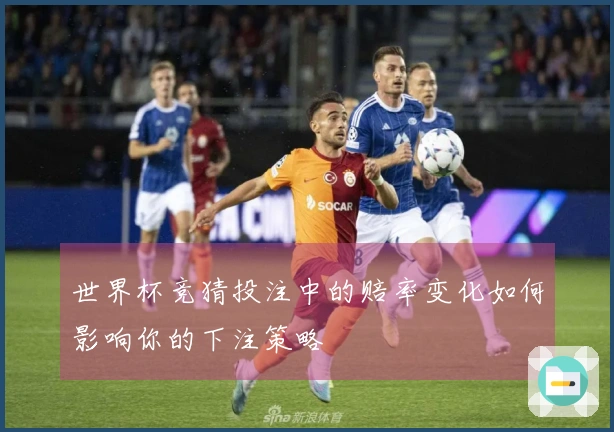 世界杯竞猜投注中的赔率变化如何影响你的下注策略
