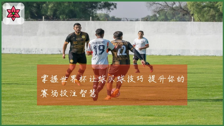 掌握世界杯让球买球技巧 提升你的赛场投注智慧