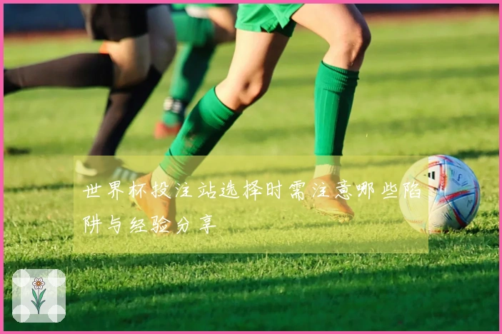 世界杯投注站选择时需注意哪些陷阱与经验分享