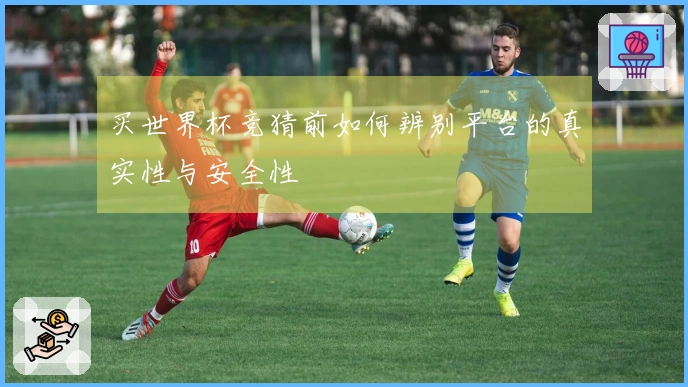 买世界杯竞猜前如何辨别平台的真实性与安全性