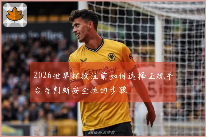 2026世界杯投注前如何选择正规平台与判断安全性的步骤