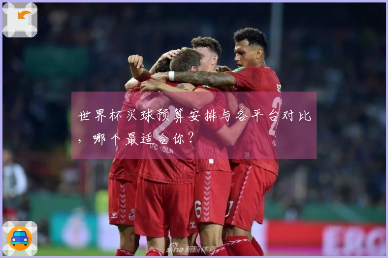 世界杯买球预算安排与各平台对比，哪个最适合你？