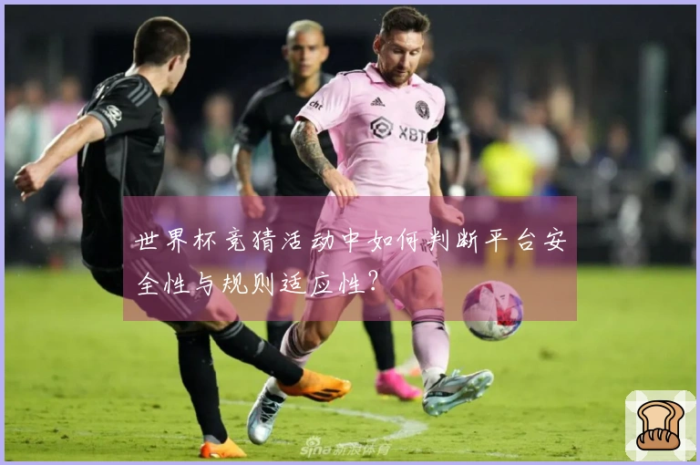 世界杯竞猜活动中如何判断平台安全性与规则适应性？