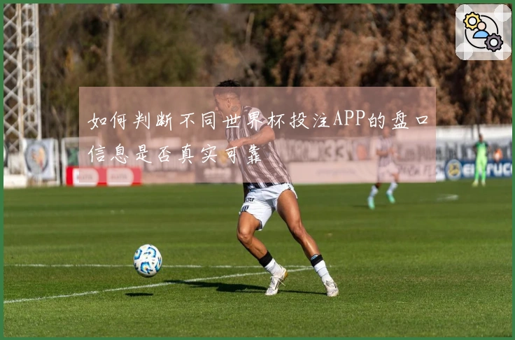 如何判断不同世界杯投注APP的盘口信息是否真实可靠