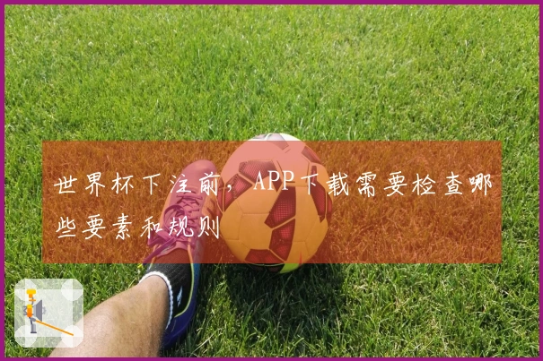 世界杯下注前，APP下载需要检查哪些要素和规则