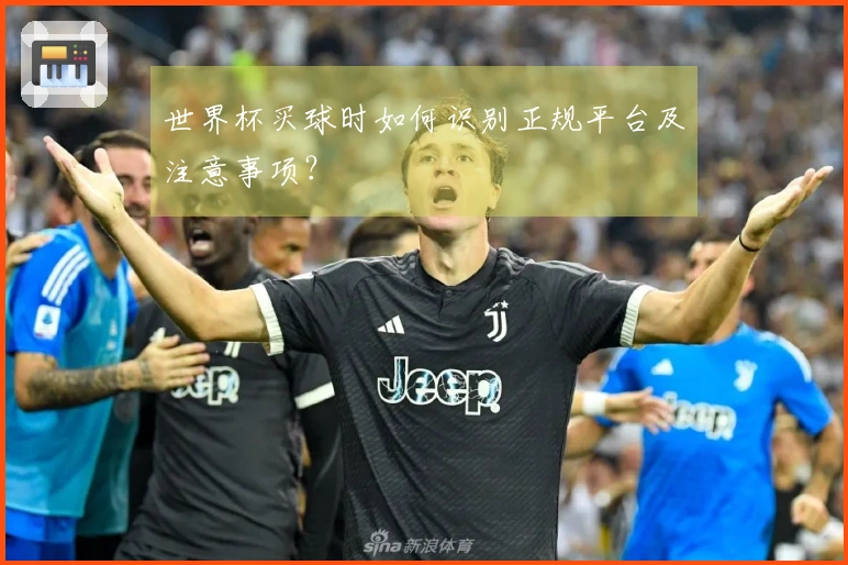 世界杯买球时如何识别正规平台及注意事项？