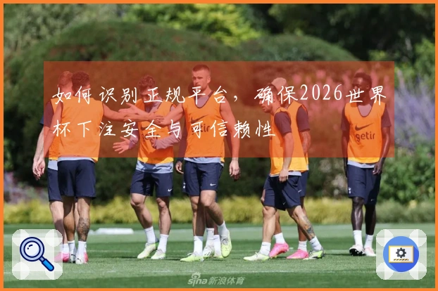 如何识别正规平台，确保2026世界杯下注安全与可信赖性