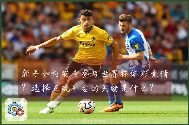 新手如何安全参与世界杯体彩竞猜？选择正规平台的关键是什么？