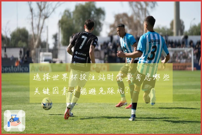 选择世界杯投注站时需要考虑哪些关键因素才能避免踩坑？