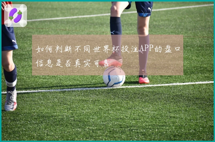 如何判断不同世界杯投注APP的盘口信息是否真实可靠