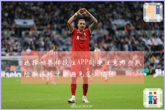 选择世界杯投注APP时要注意哪些风险和技巧才能避免落入陷阱