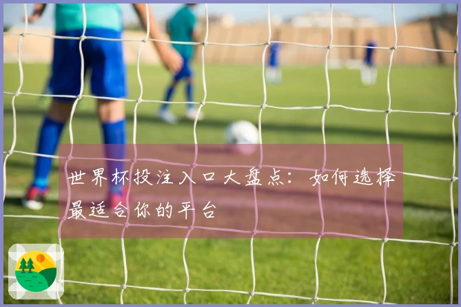世界杯投注入口大盘点：如何选择最适合你的平台