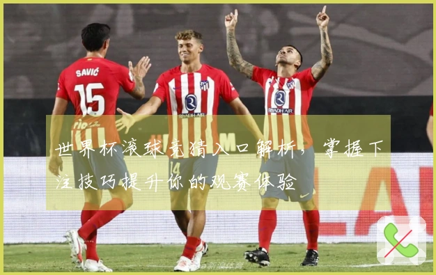 世界杯滚球竞猜入口解析，掌握下注技巧提升你的观赛体验