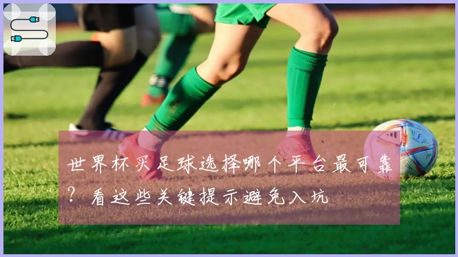 世界杯买足球选择哪个平台最可靠？看这些关键提示避免入坑