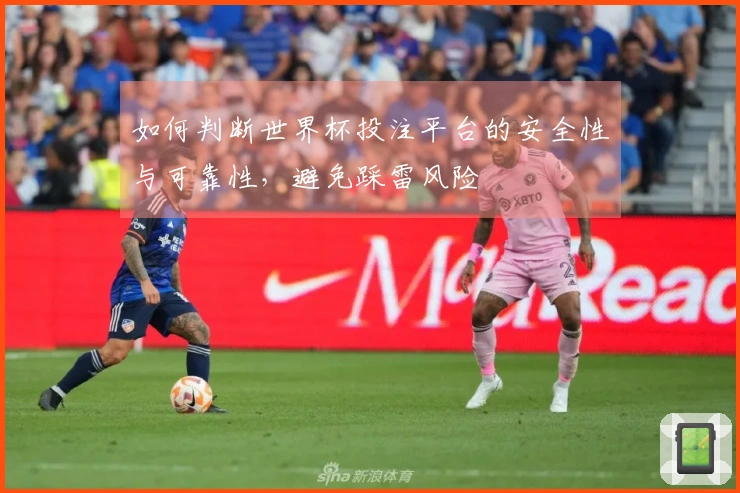 如何判断世界杯投注平台的安全性与可靠性，避免踩雷风险