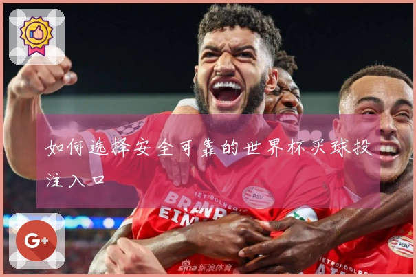 如何选择安全可靠的世界杯买球投注入口